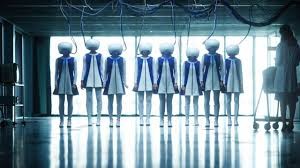 predestination